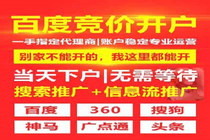 SEM运营公司经典案例点评